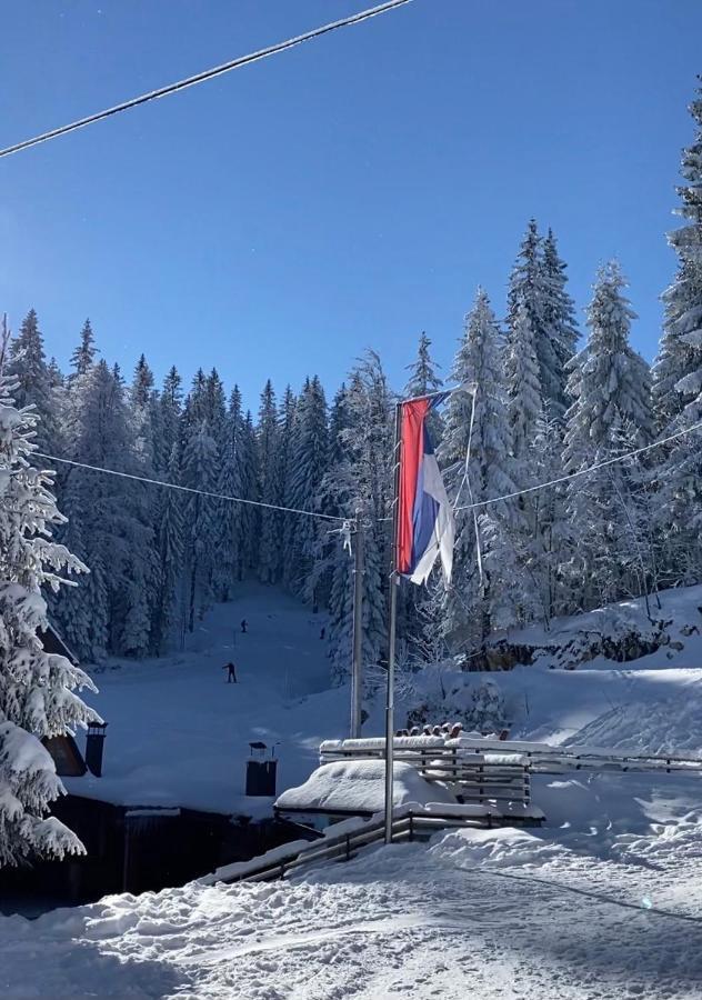 Bed And Breakfast Vila Lala Jahorina Kültér fotó