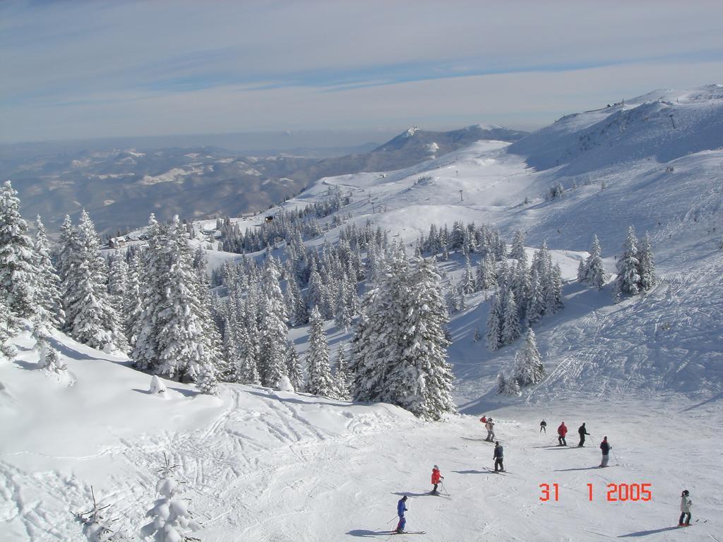 Bed And Breakfast Vila Lala Jahorina Kültér fotó